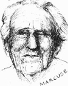 Ink portrait of Herbert