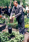 lowering the urn into the grave